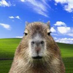 Capy coin