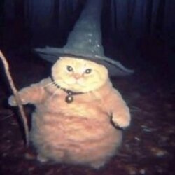 Cheeseball the Wizar