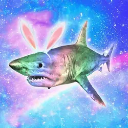 iridescent rabbit sh