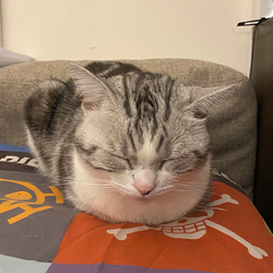 PETER·IS·A·SLEEPY