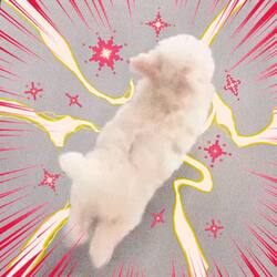 Lightspeed