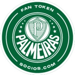 Wrapped Palmeiras (K
